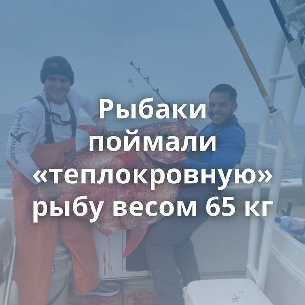 Рыбаки поймали «теплокровную» рыбу весом 65 кг