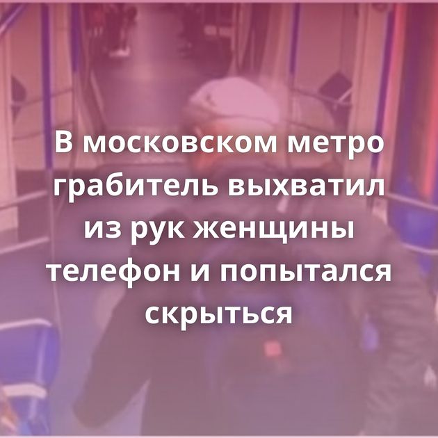 В московском метро грабитель выхватил из рук женщины телефон и попытался скрыться