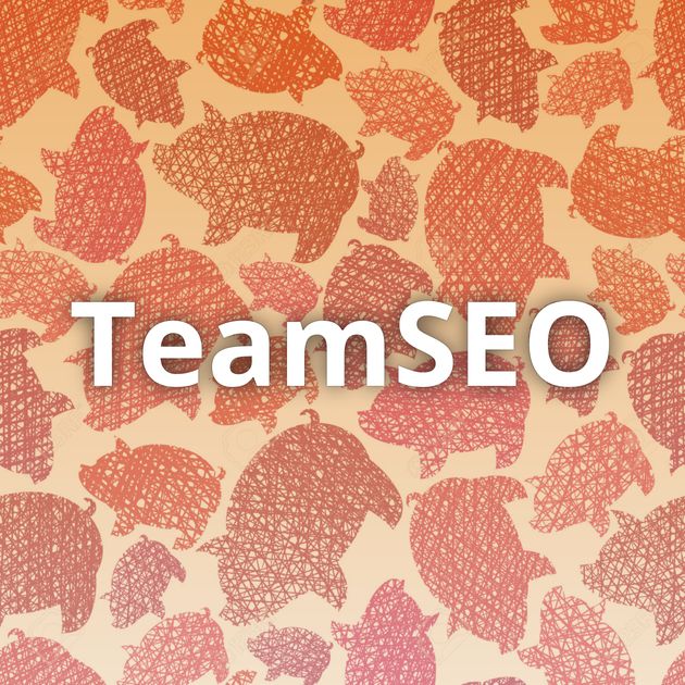 TeamSEO