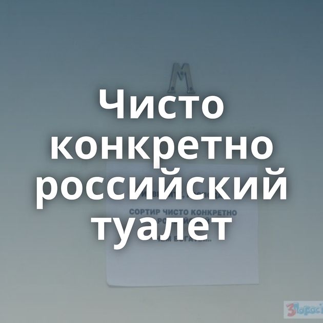 Чисто конкретно российский туалет