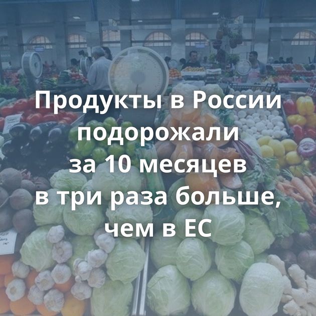 Продукты в России подорожали за 10 месяцев в три раза больше, чем в ЕС