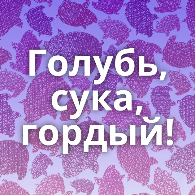 Голубь, сука, гордый!