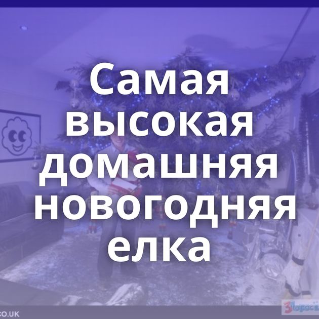 Самая высокая домашняя новогодняя елка