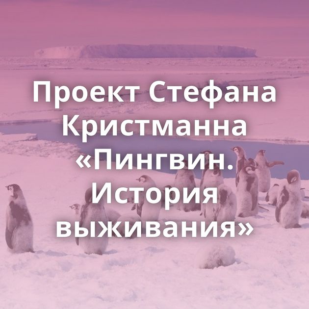 Проект Стефана Кристманна «Пингвин. История выживания»