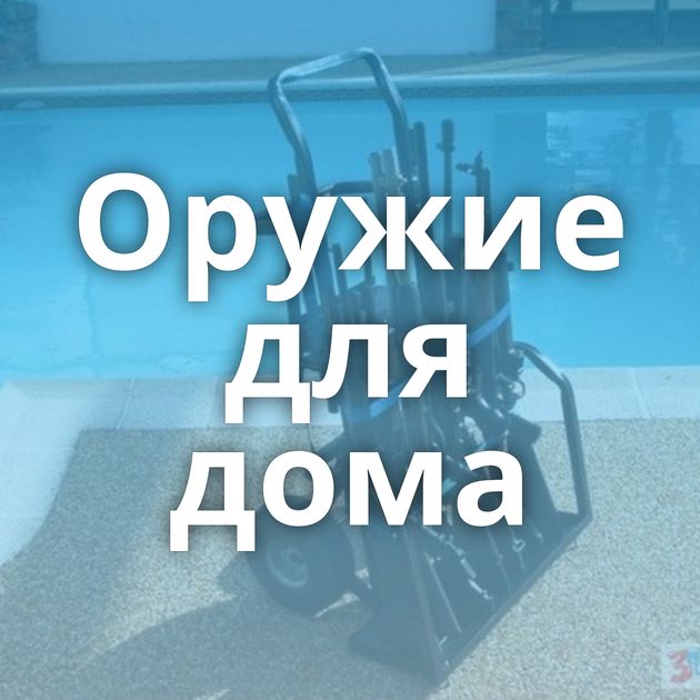 Оружие для дома