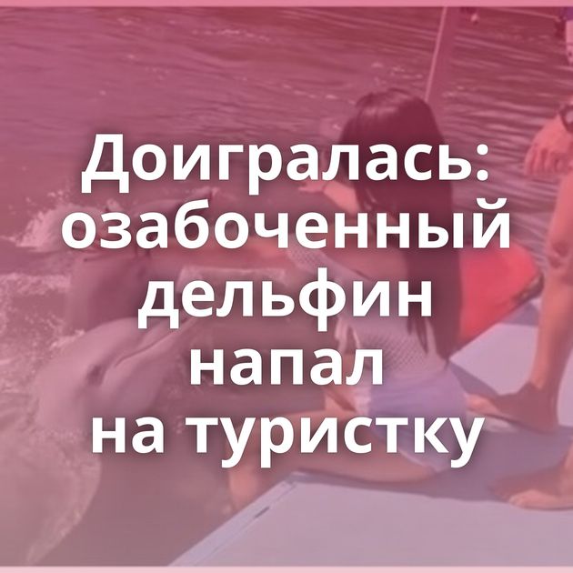 Доигралась: озабоченный дельфин напал на туристку