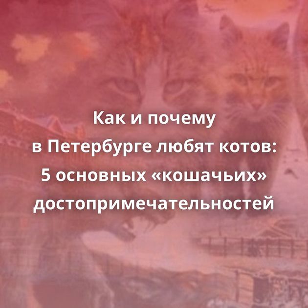 Как и почему в Петербурге любят котов: 5 основных «кошачьих» достопримечательностей