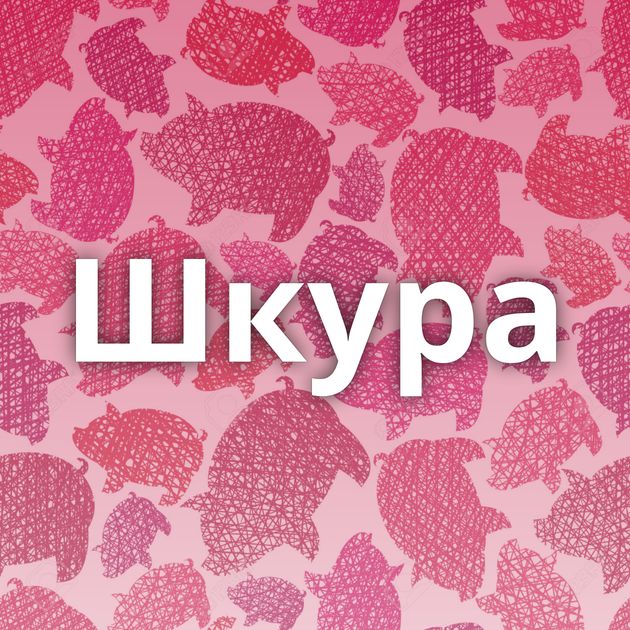 Шкура