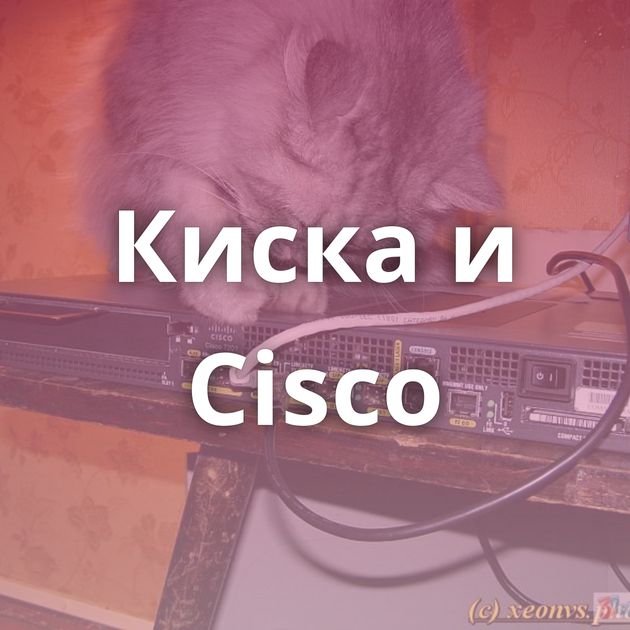 Киска и Cisco