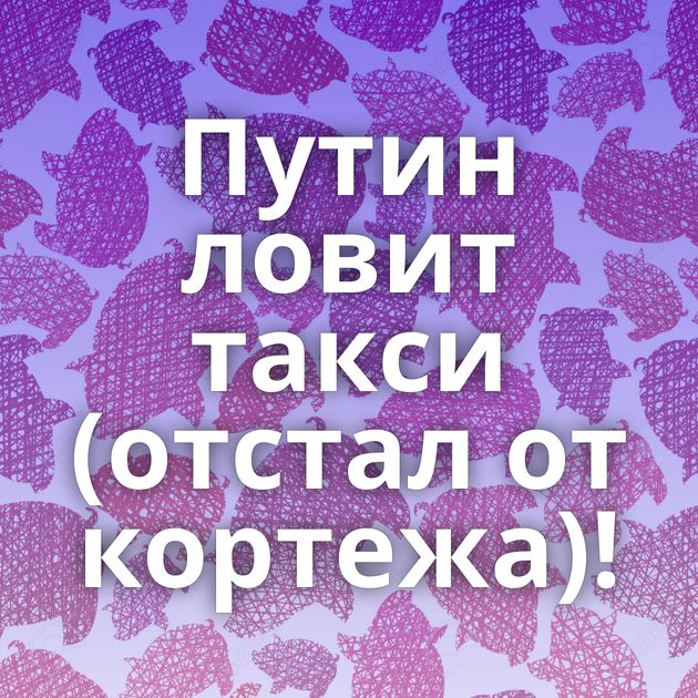 Путин ловит такси (отстал от кортежа)!