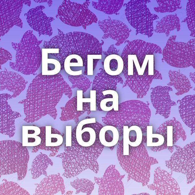 Бегом на выборы