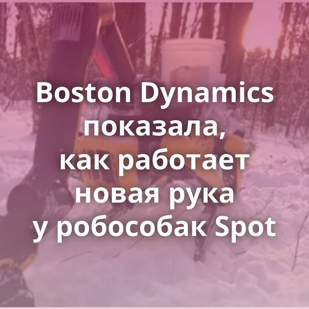 Boston Dynamics показала, как работает новая рука у робособак Spot