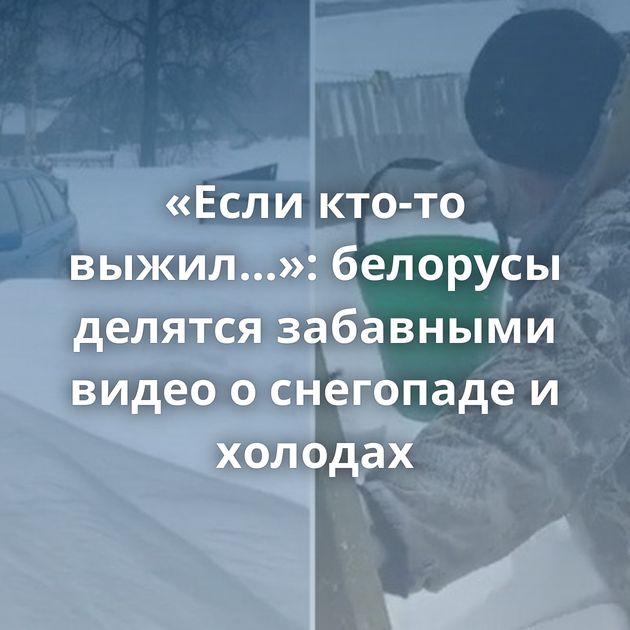 «Если кто-то выжил...»: белорусы делятся забавными видео о снегопаде и холодах