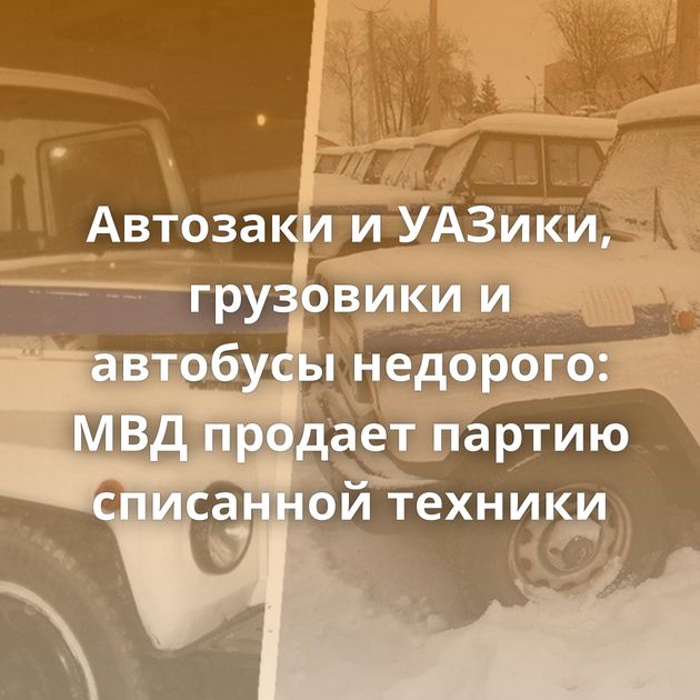 Автозаки и УАЗики, грузовики и автобусы недорого: МВД продает партию списанной техники