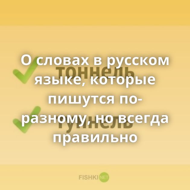 О словах в русском языке, которые пишутся по-разному, но всегда правильно