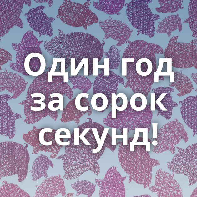 Один год за сорок секунд!