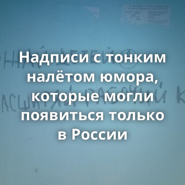 Надписи с тонким налётом юмора, которые могли появиться только в России