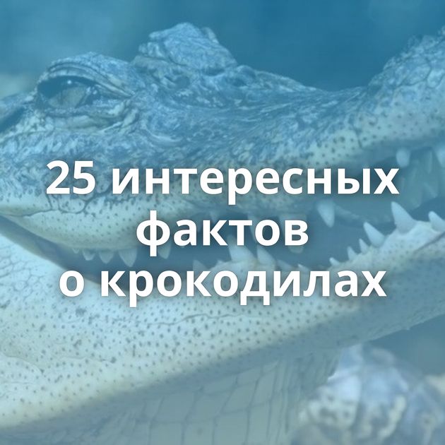 25 интересных фактов о крокодилах
