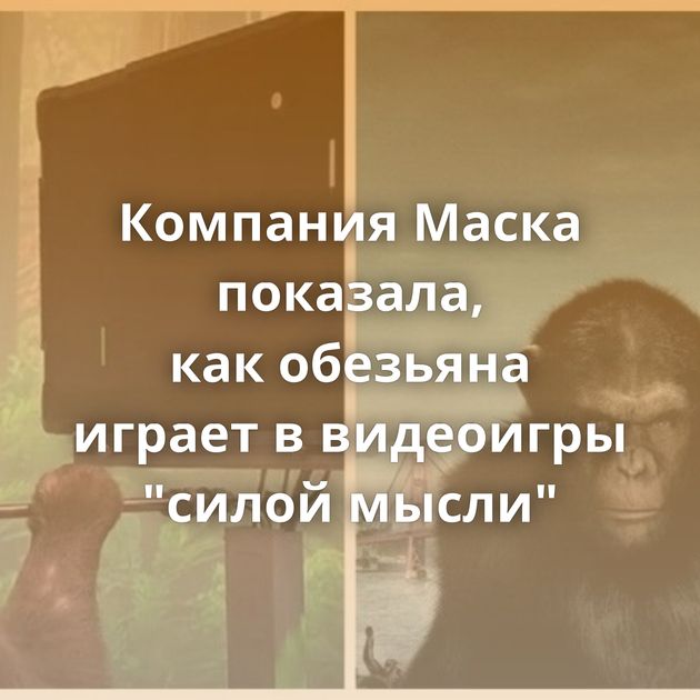 Компания Маска показала, как обезьяна играет в видеоигры 