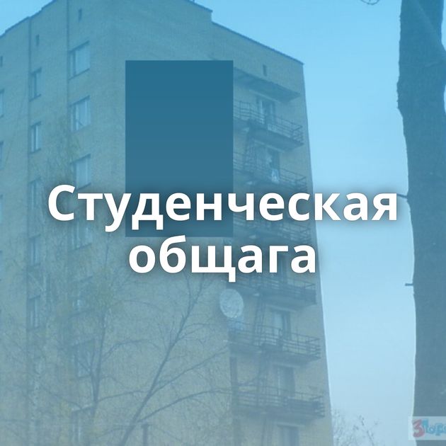 Студенческая общага