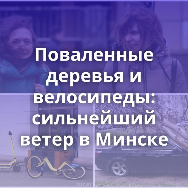 Поваленные деревья и велосипеды: сильнейший ветер в Минске