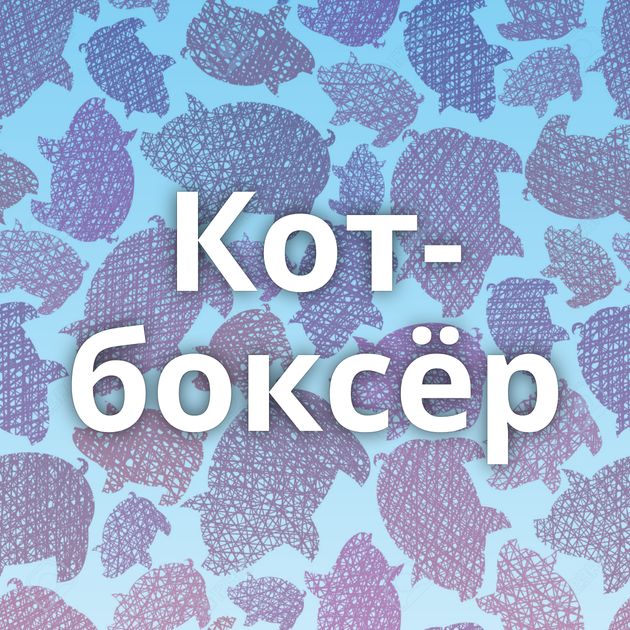 Кот-боксёр
