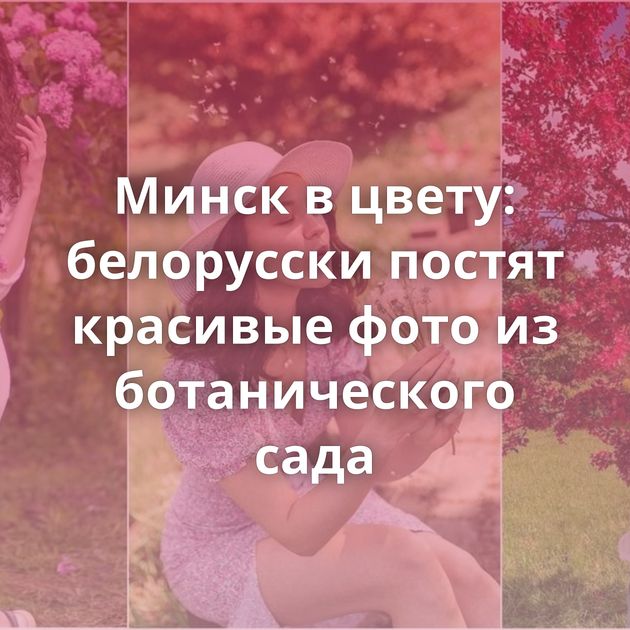 Минск в цвету: белорусски постят красивые фото из ботанического сада
