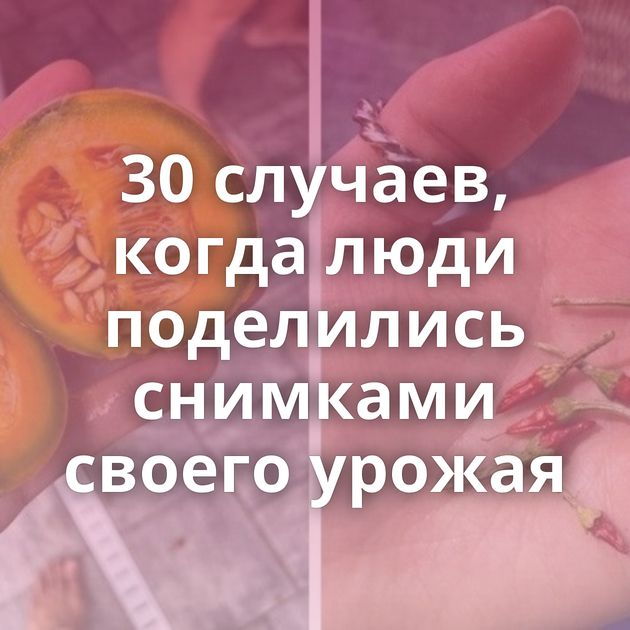 30 случаев, когда люди поделились снимками своего урожая