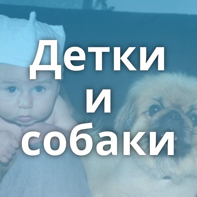 Детки и собаки
