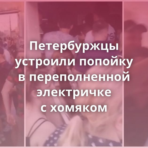 Петербуржцы устроили попойку в переполненной электричке с хомяком
