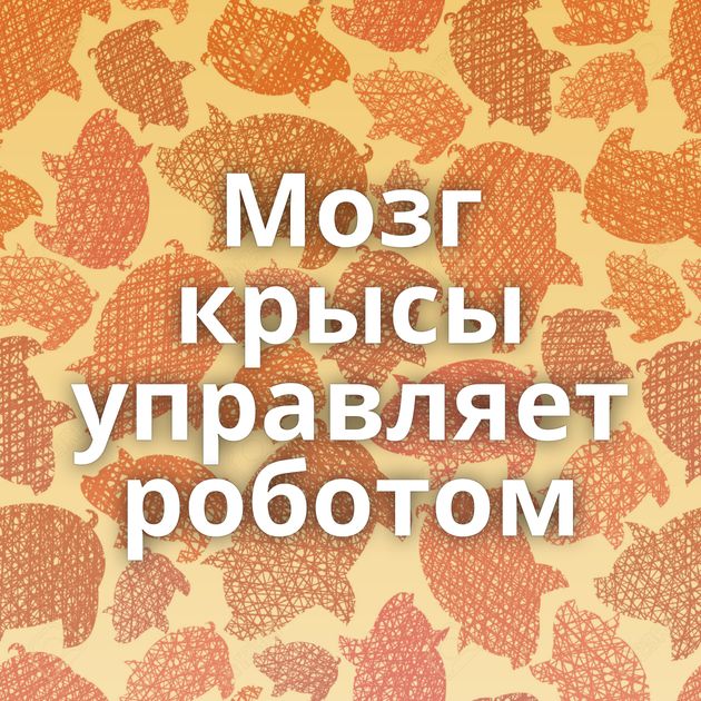 Мозг крысы управляет роботом
