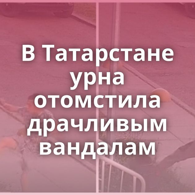 В Татарстане урна отомстила драчливым вандалам