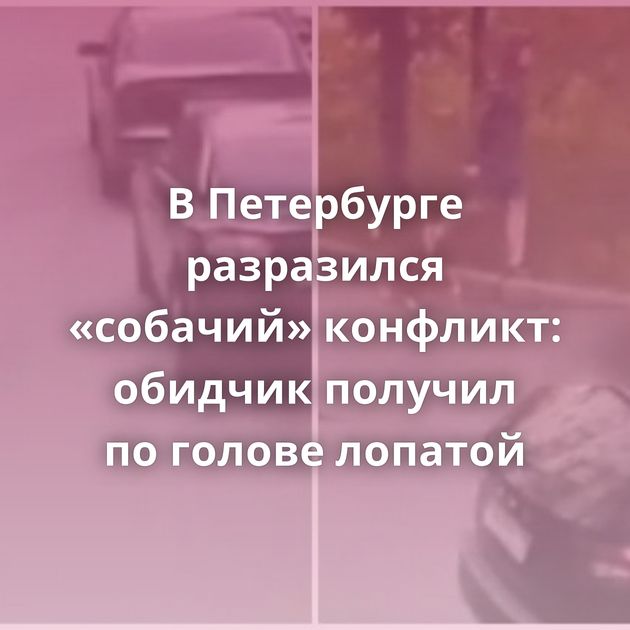 В Петербурге разразился «собачий» конфликт: обидчик получил по голове лопатой