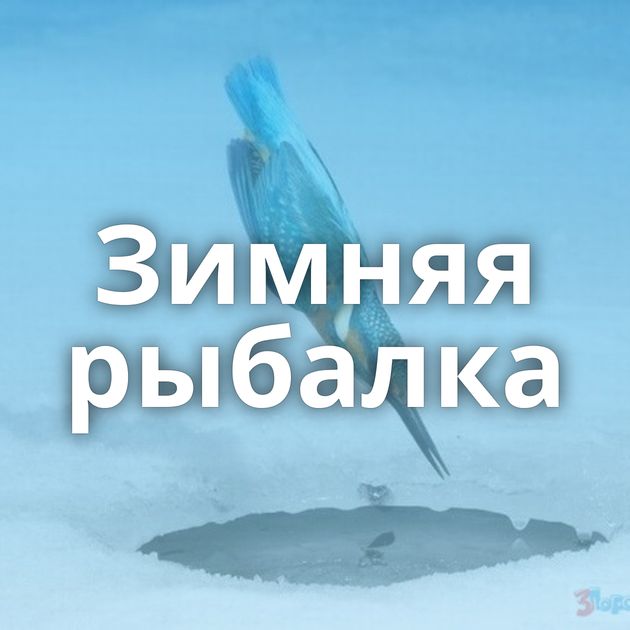 Зимняя рыбалка