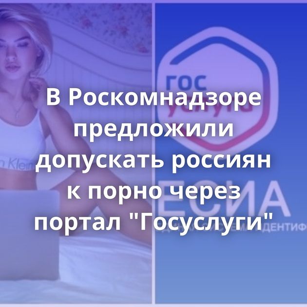 В Роскомнадзоре предложили допускать россиян к порно через портал 