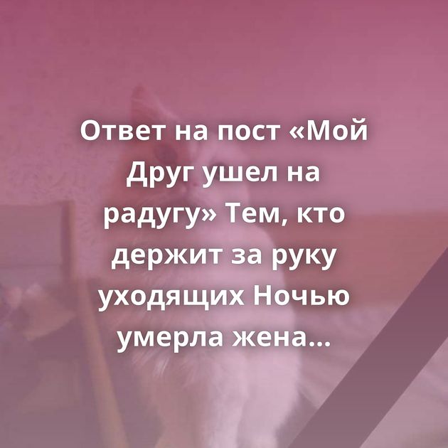 Ответ на пост «Мой Друг ушел на радугу» Тем, кто держит за руку уходящих Ночью умерла жена ДТП в Зернограде,…