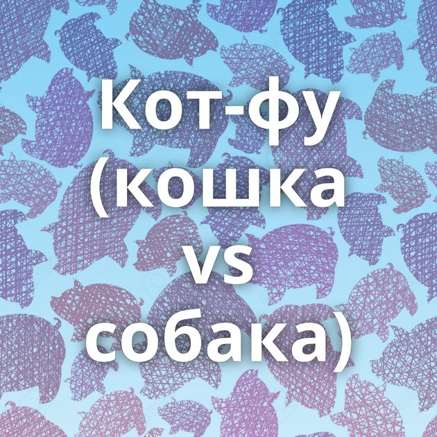 Кот-фу (кошка vs собака)