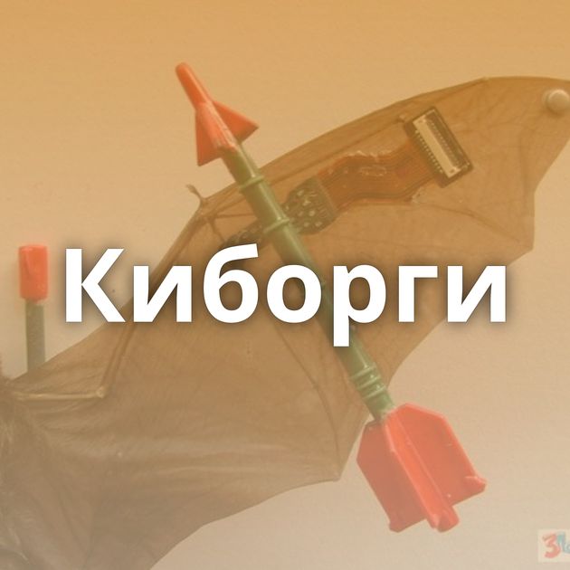 Киборги
