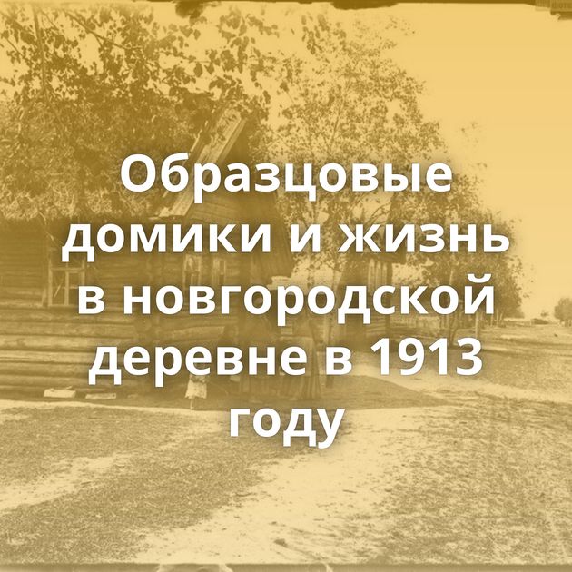 Образцовые домики и жизнь в новгородской деревне в 1913 году