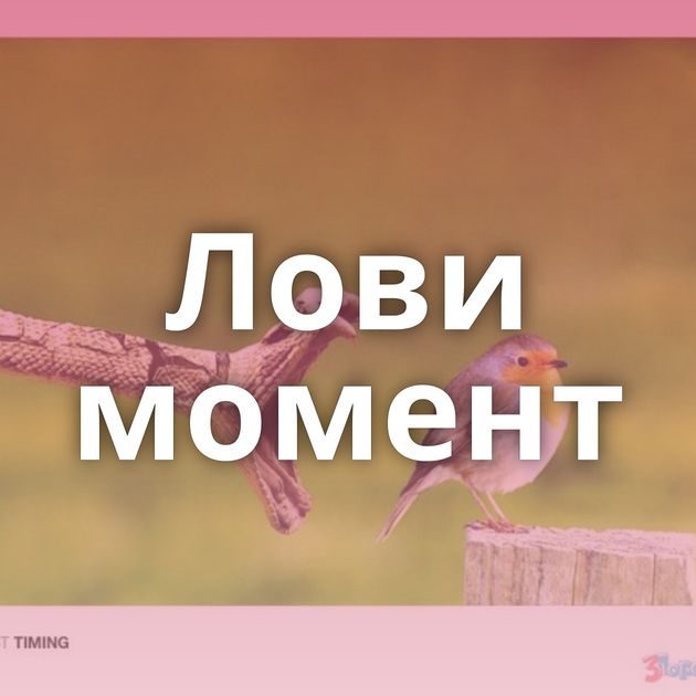 Лови момент