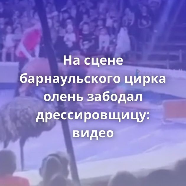 На сцене барнаульского цирка олень забодал дрессировщицу: видео