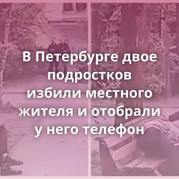 В Петербурге двое подростков избили местного жителя и отобрали у него телефон