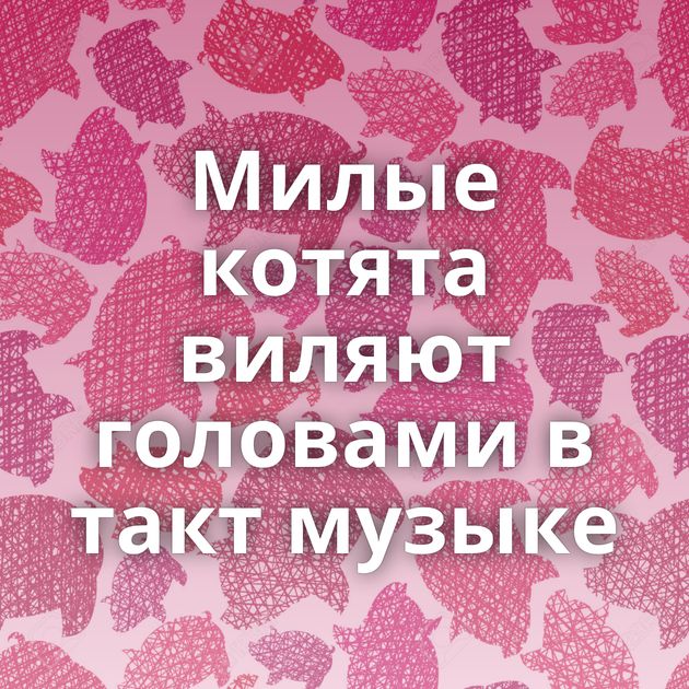 Милые котята виляют головами в такт музыке