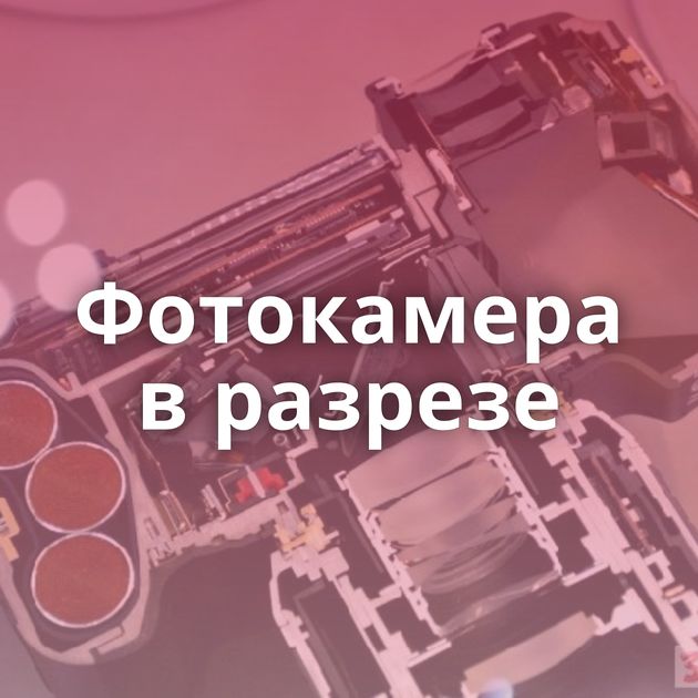 Фотокамера в разрезе