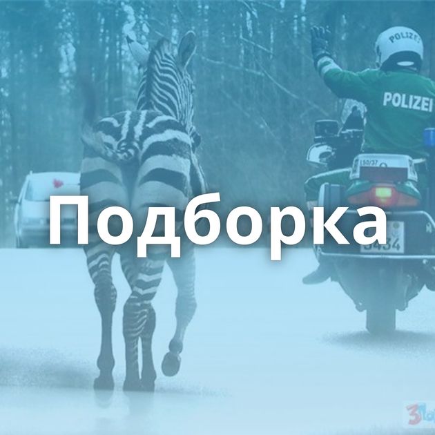 Подборка