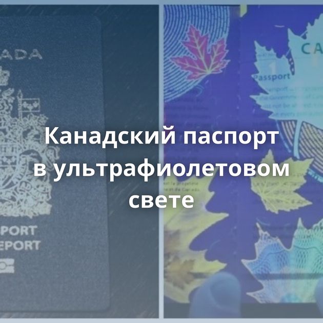 Канадский паспорт в ультрафиолетовом свете