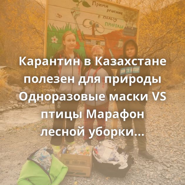 Карантин в Казахстане полезен для природы Одноразовые маски VS птицы Марафон лесной уборки завершён. Собрал…