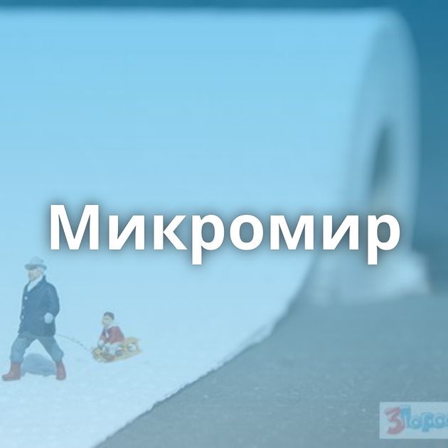 Микромир