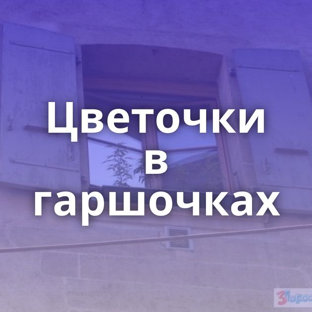 Цветочки в гаршочках