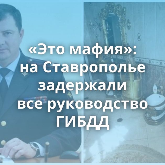 «Это мафия»: на Ставрополье задержали все руководство ГИБДД